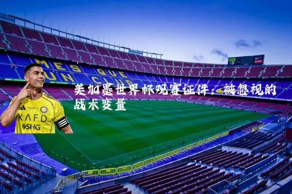 美加墨世界杯观赛证件：被忽视的战术变量